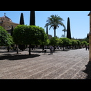 Der weitläufige Garten der Moschee-Kathedrale